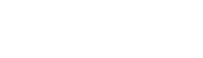 Logo Revolicons